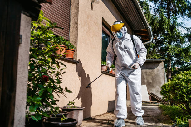 Best Affordable Pest Control Services  in Hampton, IA