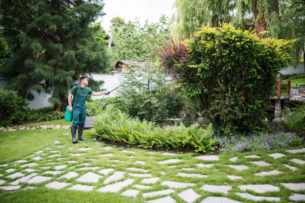 Best Affordable Pest Control Services  in Hampton, IA