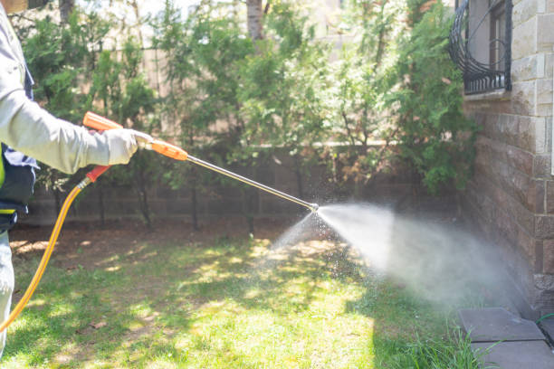 Insect Control in Hampton, IA